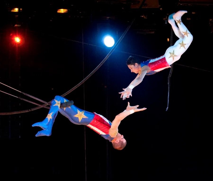 The Thrilling World of Trapeze Artists